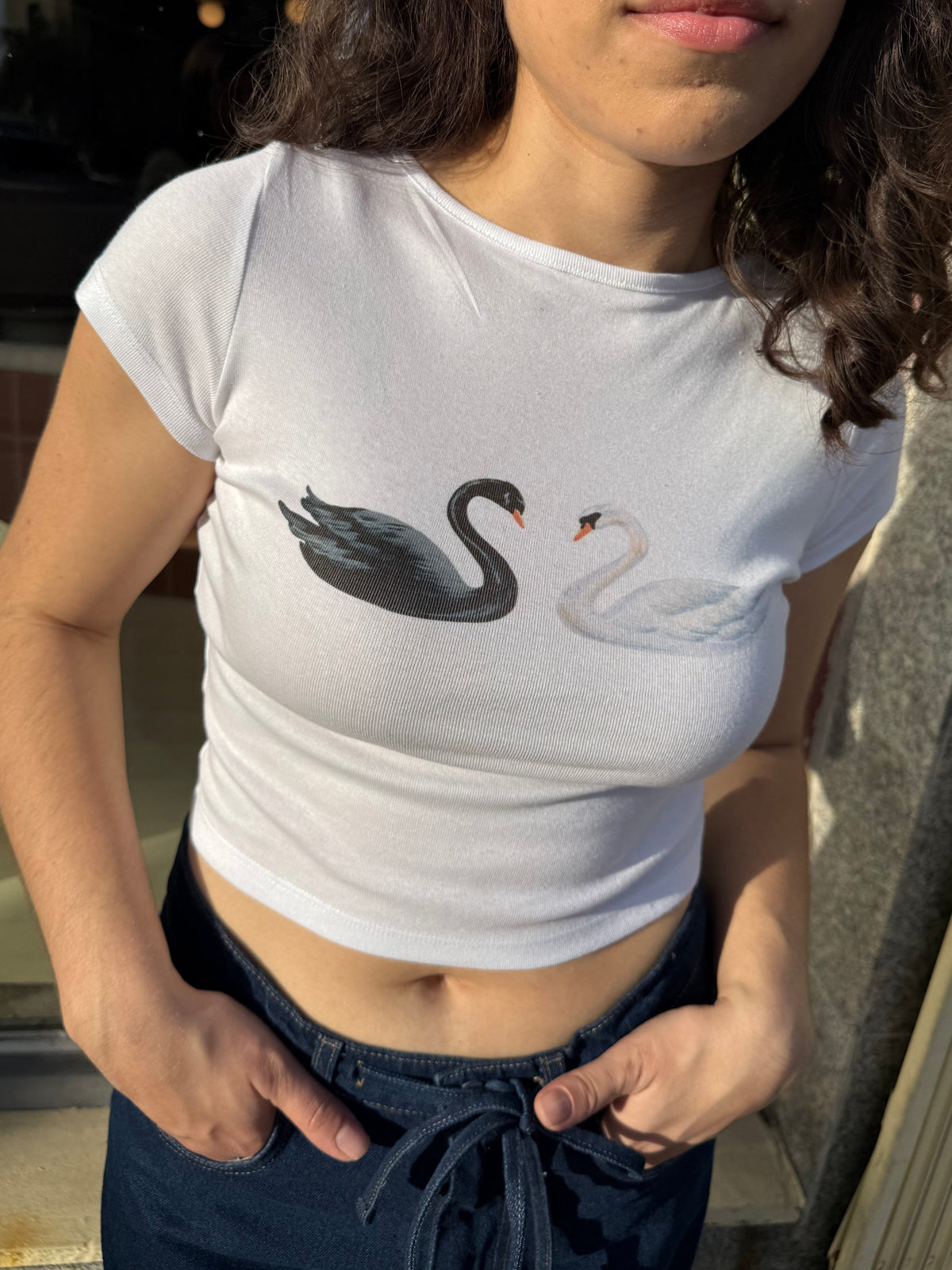 Alex Tee - Swans