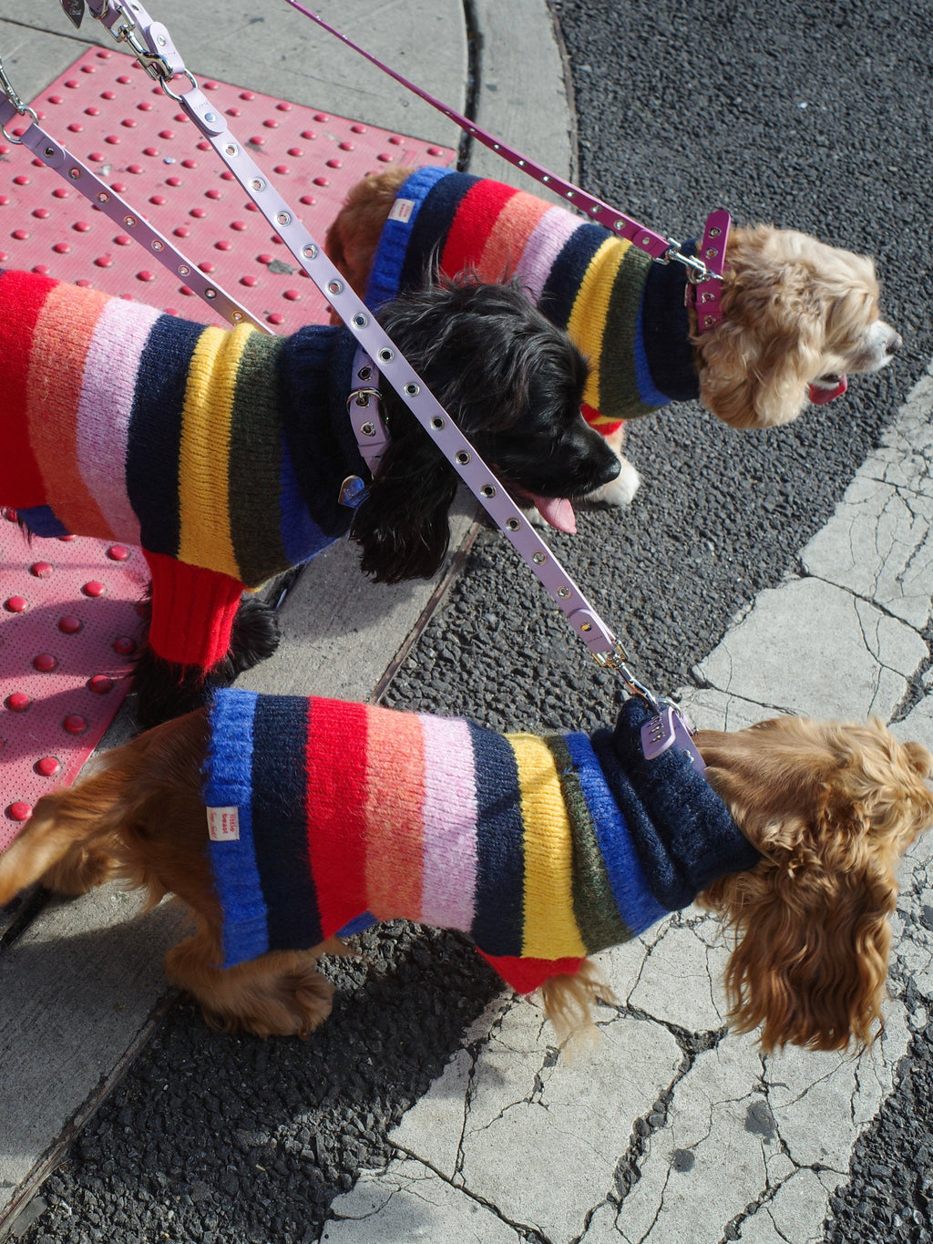 Dog Sweater - Rainbow
