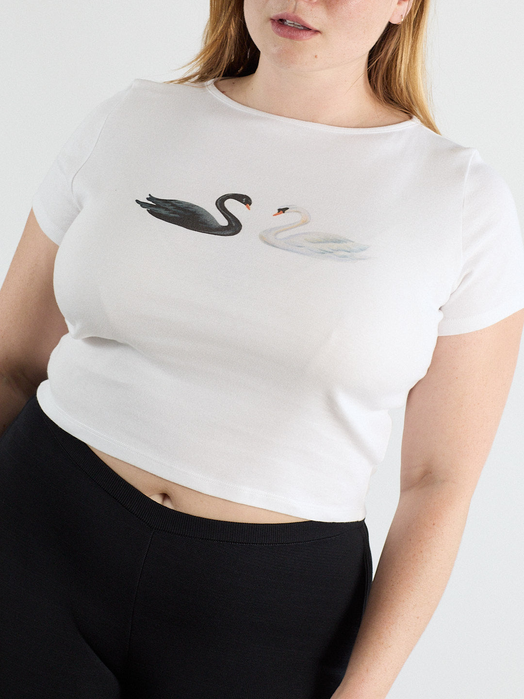 Alex Tee - Swans