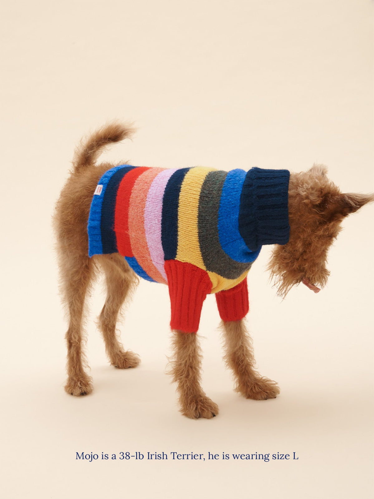 Dog Sweater - Rainbow