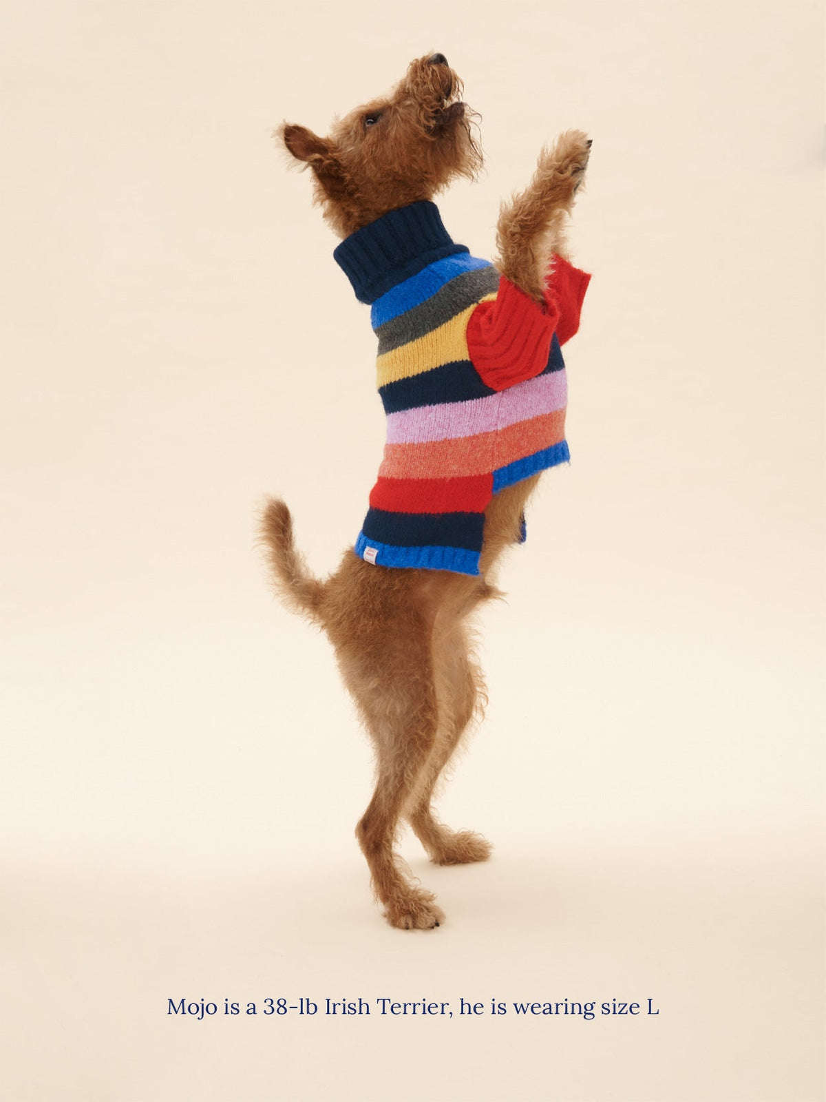 Dog Sweater - Rainbow